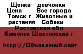 Щенки - девчонки › Цена ­ 2 - Все города, Томск г. Животные и растения » Собаки   . Ростовская обл.,Каменск-Шахтинский г.